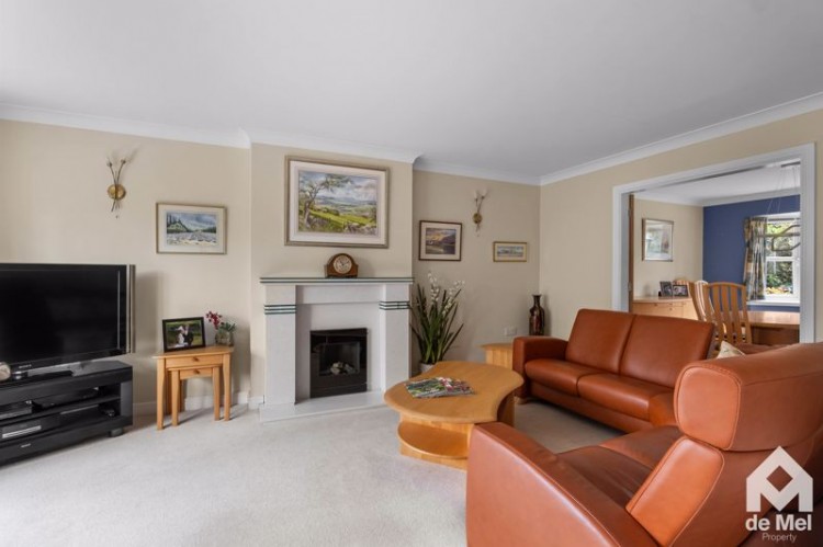 Images for The Finches, Greet