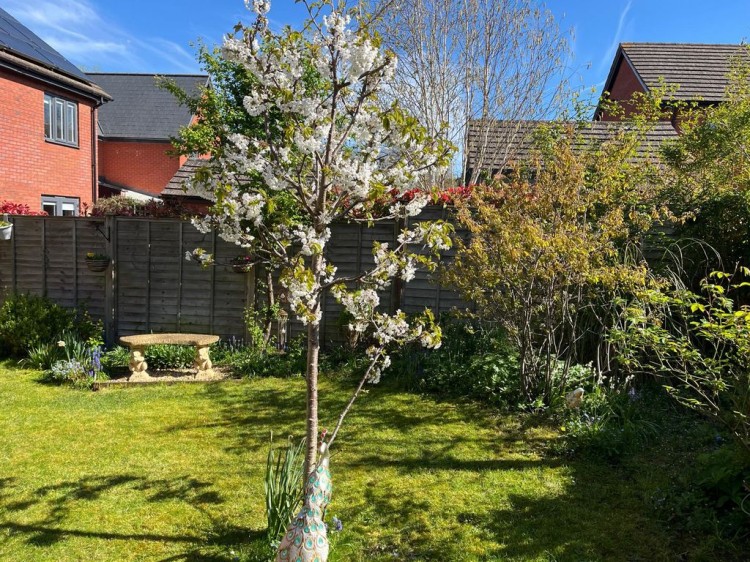 Images for Denman Avenue, Cheltenham