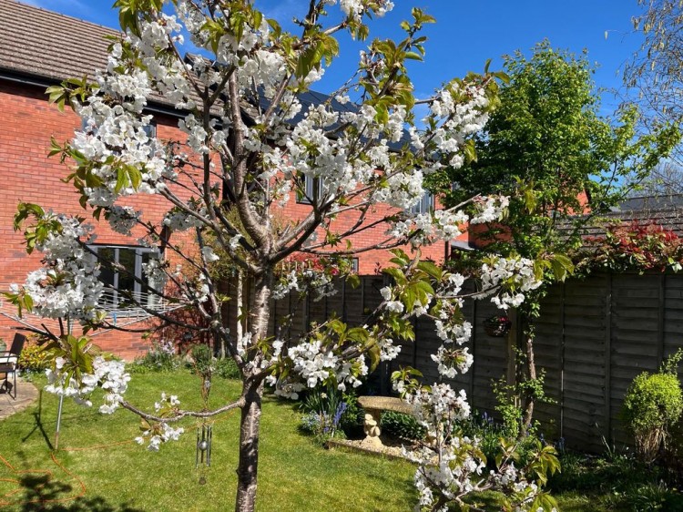 Images for Denman Avenue, Cheltenham