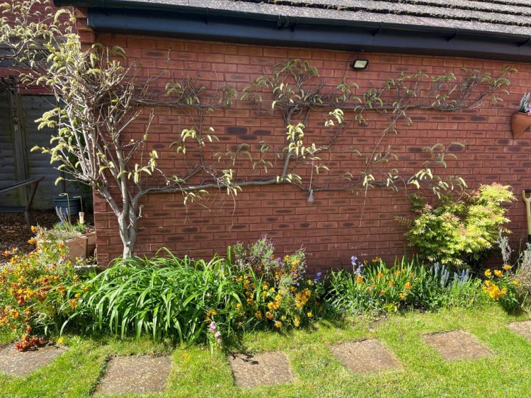 Images for Denman Avenue, Cheltenham